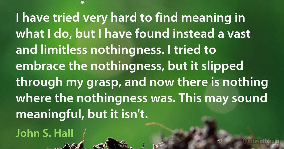 I have tried very hard to find meaning in what I do, but I have found instead a vast and limitless nothingness. I tried to embrace the nothingness, but it slipped through my grasp, and now there is nothing where the nothingness was. This may sound meaningful, but it isn't. (John S. Hall)