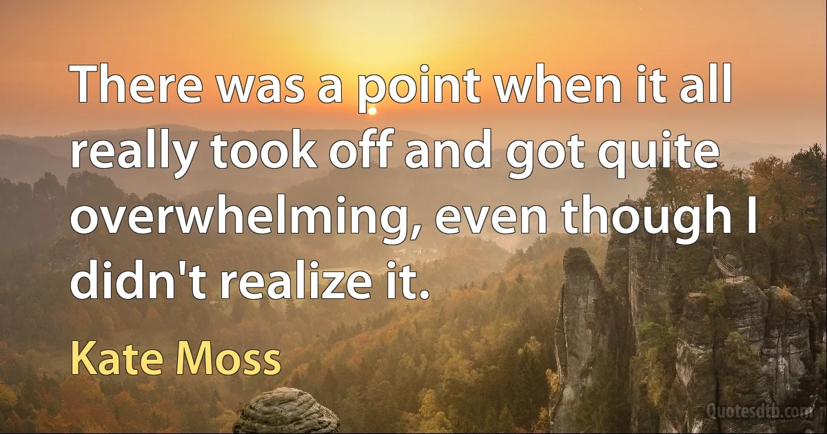 There was a point when it all really took off and got quite overwhelming, even though I didn't realize it. (Kate Moss)