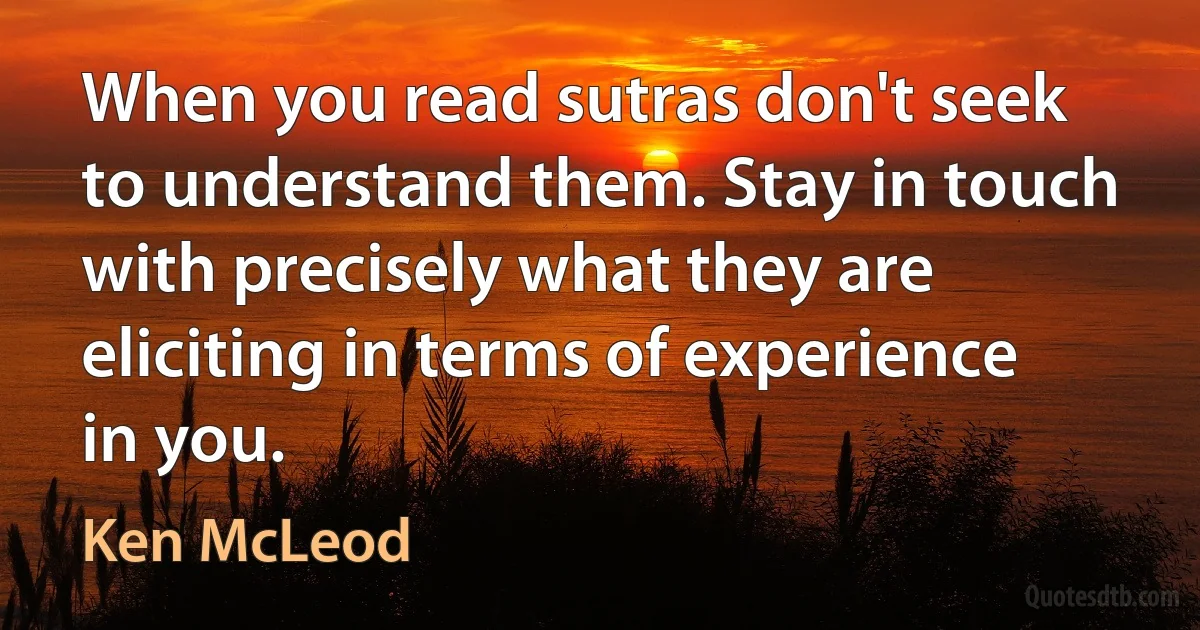 When you read sutras don't seek to understand them. Stay in touch with precisely what they are eliciting in terms of experience in you. (Ken McLeod)