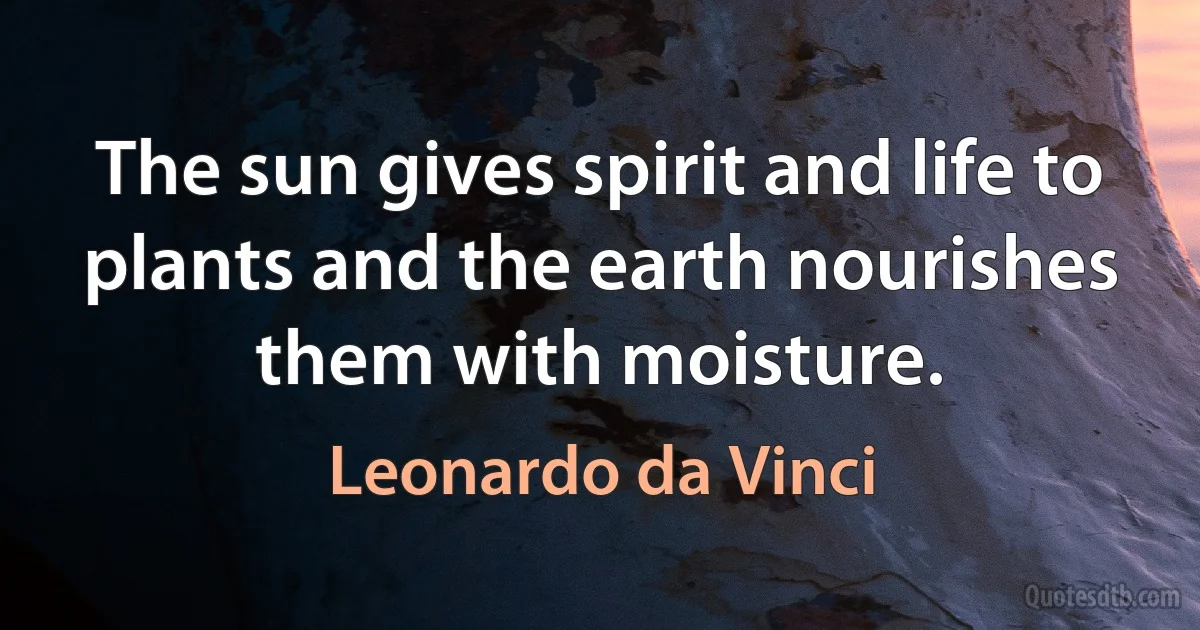 The sun gives spirit and life to plants and the earth nourishes them with moisture. (Leonardo da Vinci)