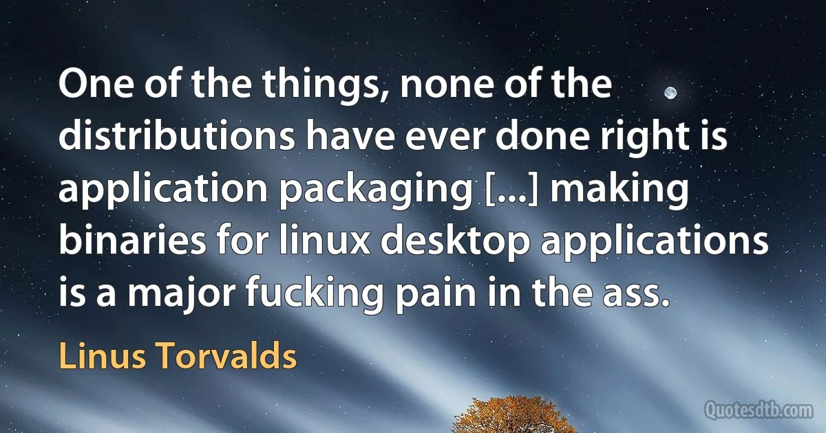 One of the things, none of the distributions have ever done right is application packaging [...] making binaries for linux desktop applications is a major fucking pain in the ass. (Linus Torvalds)