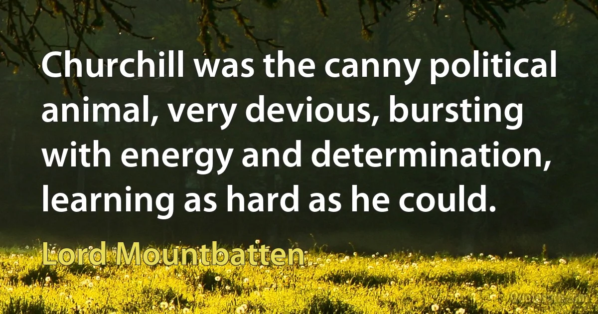 Churchill was the canny political animal, very devious, bursting with energy and determination, learning as hard as he could. (Lord Mountbatten)