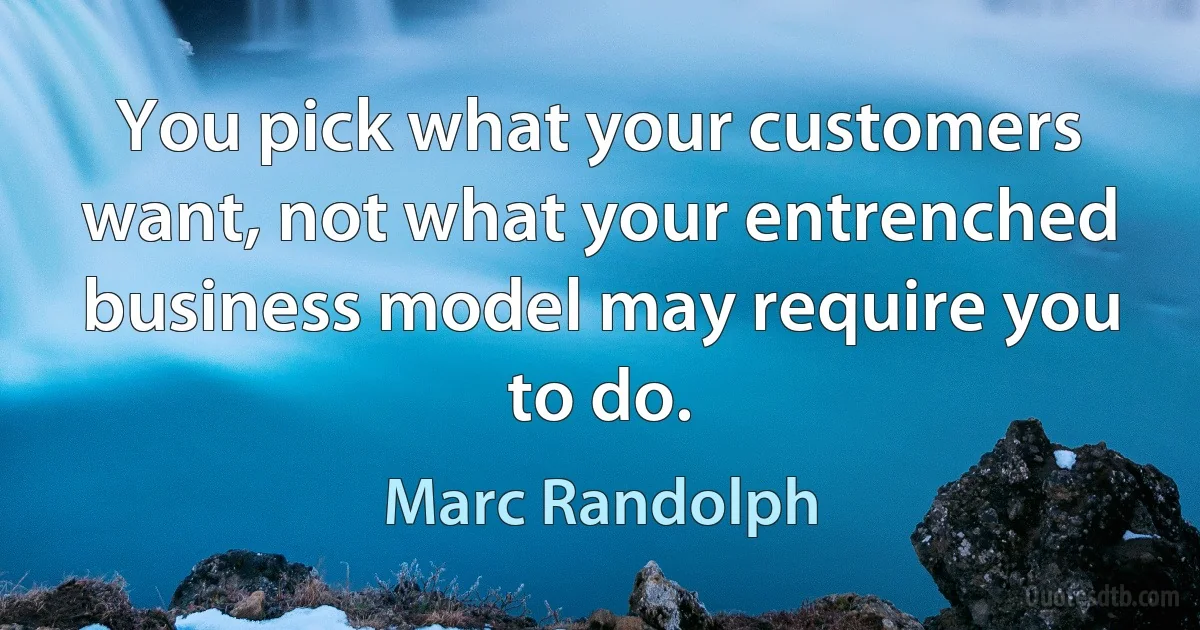 You pick what your customers want, not what your entrenched business model may require you to do. (Marc Randolph)