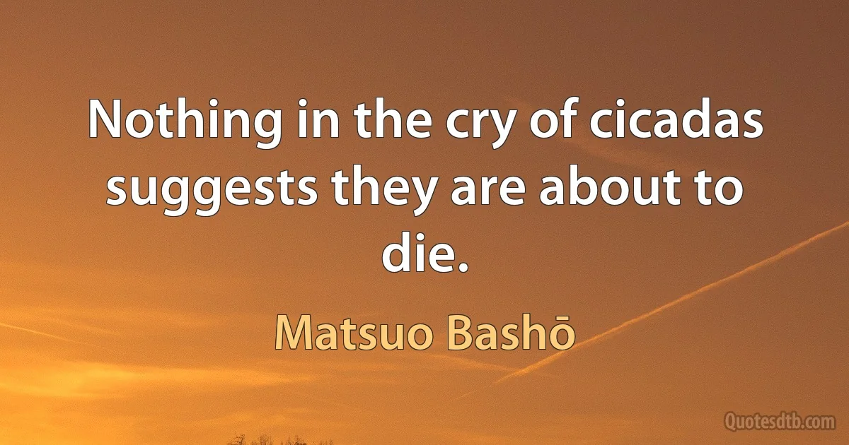 Nothing in the cry of cicadas suggests they are about to die. (Matsuo Bashō)