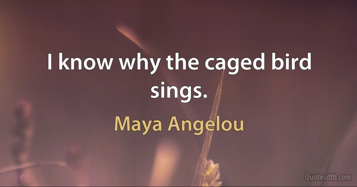 I know why the caged bird sings. (Maya Angelou)