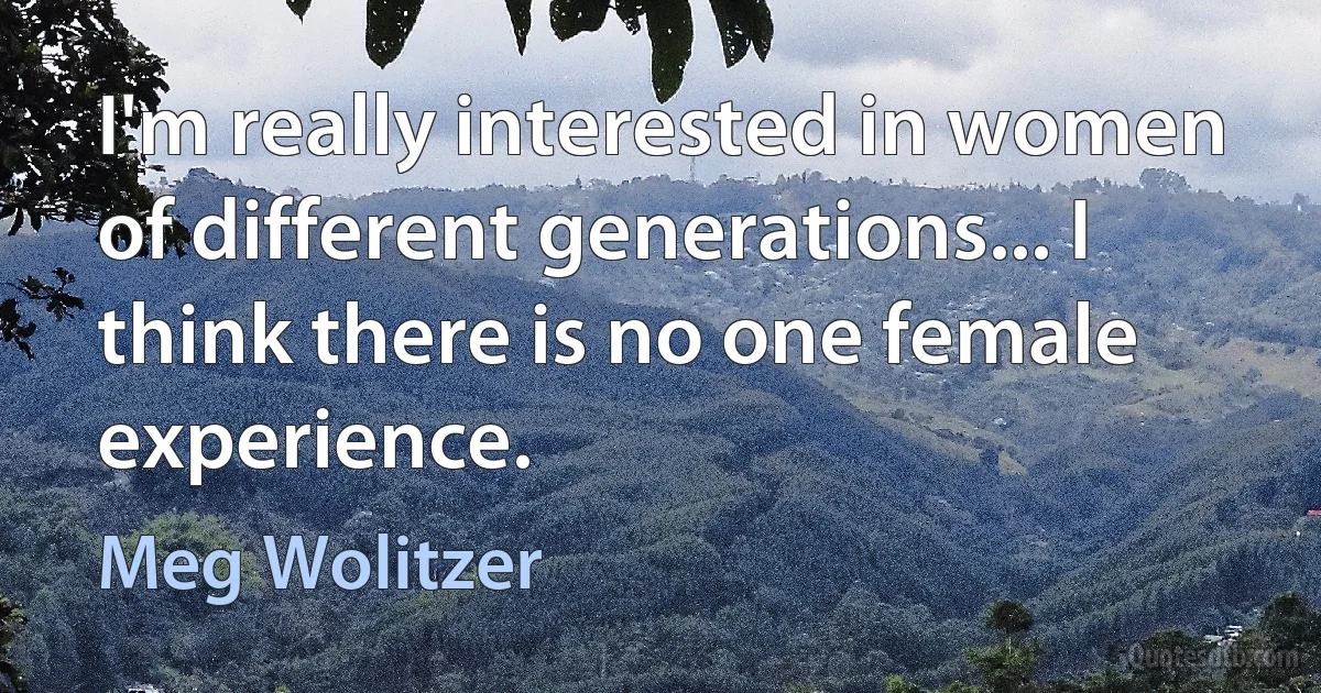 I'm really interested in women of different generations... I think there is no one female experience. (Meg Wolitzer)