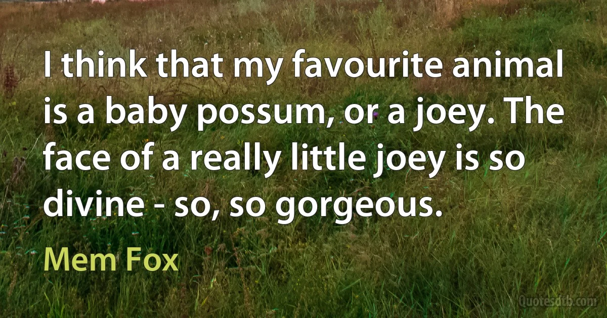 I think that my favourite animal is a baby possum, or a joey. The face of a really little joey is so divine - so, so gorgeous. (Mem Fox)