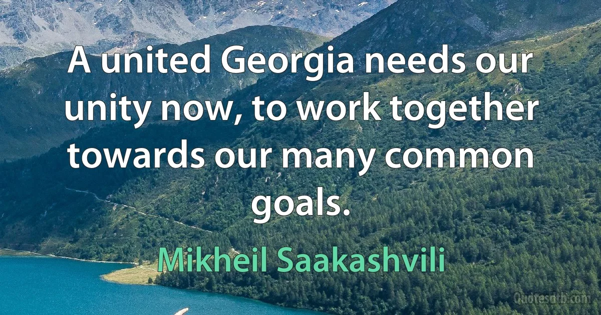 A united Georgia needs our unity now, to work together towards our many common goals. (Mikheil Saakashvili)