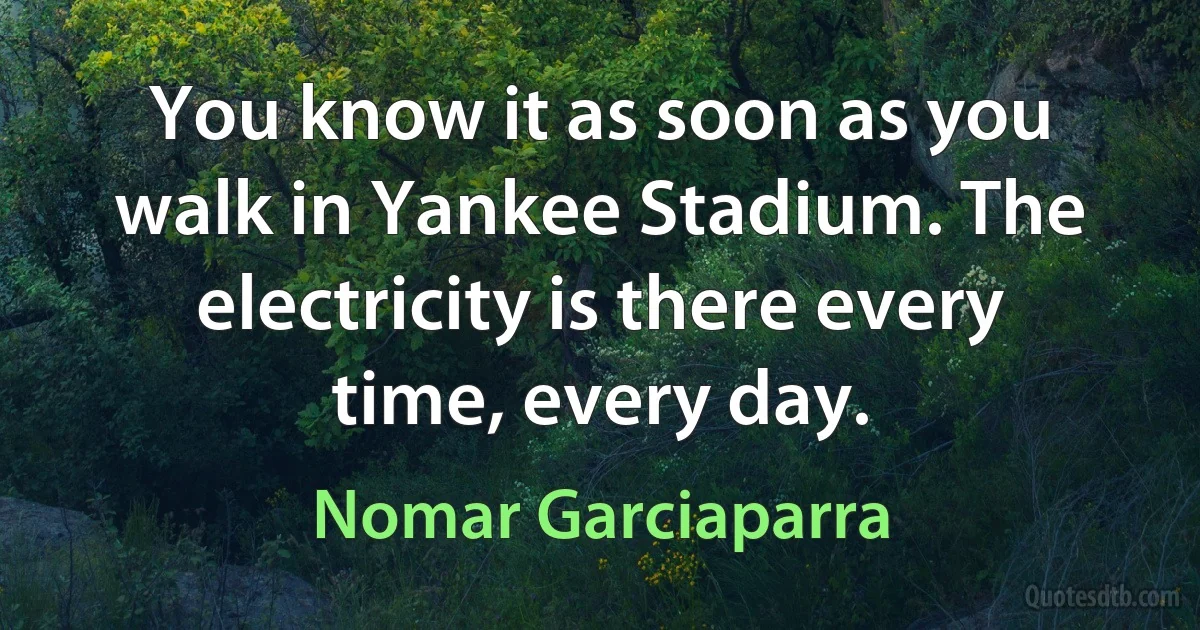 You know it as soon as you walk in Yankee Stadium. The electricity is there every time, every day. (Nomar Garciaparra)