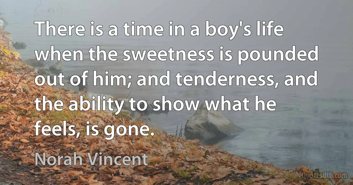 There is a time in a boy's life when the sweetness is pounded out of him; and tenderness, and the ability to show what he feels, is gone. (Norah Vincent)