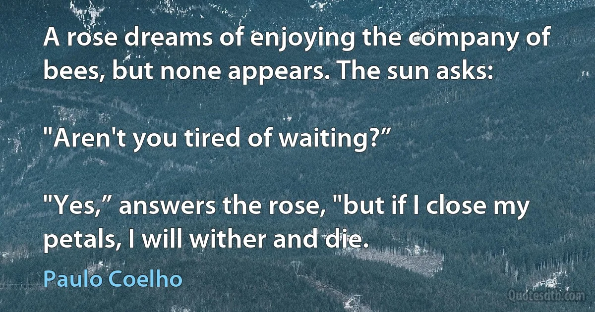 A rose dreams of enjoying the company of bees, but none appears. The sun asks:

"Aren't you tired of waiting?”

"Yes,” answers the rose, "but if I close my petals, I will wither and die. (Paulo Coelho)