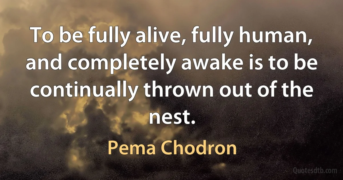 To be fully alive, fully human, and completely awake is to be continually thrown out of the nest. (Pema Chodron)