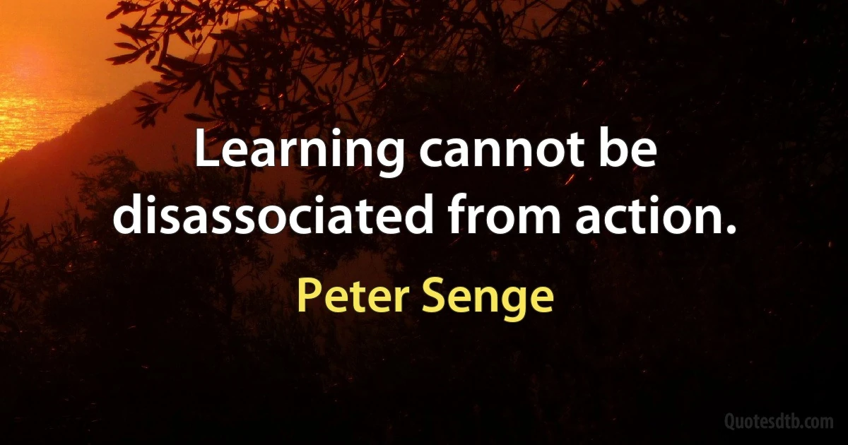 Learning cannot be disassociated from action. (Peter Senge)