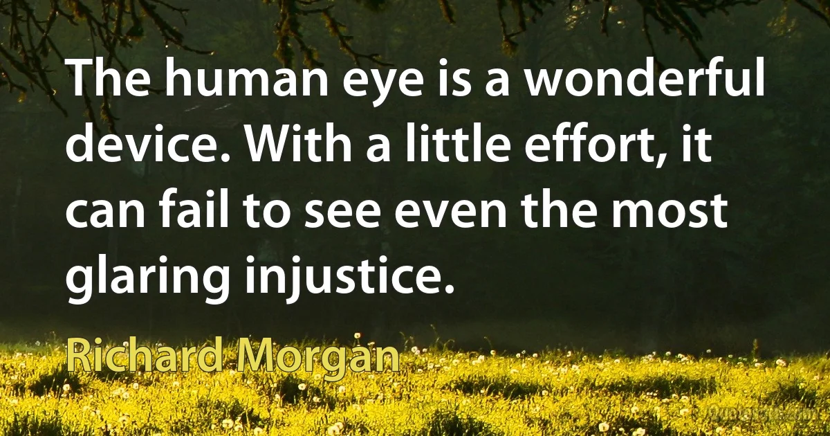 The human eye is a wonderful device. With a little effort, it can fail to see even the most glaring injustice. (Richard Morgan)