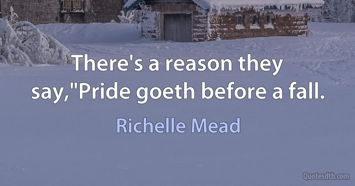 There's a reason they say,"Pride goeth before a fall. (Richelle Mead)