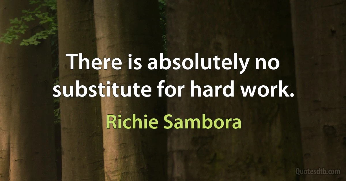 There is absolutely no substitute for hard work. (Richie Sambora)