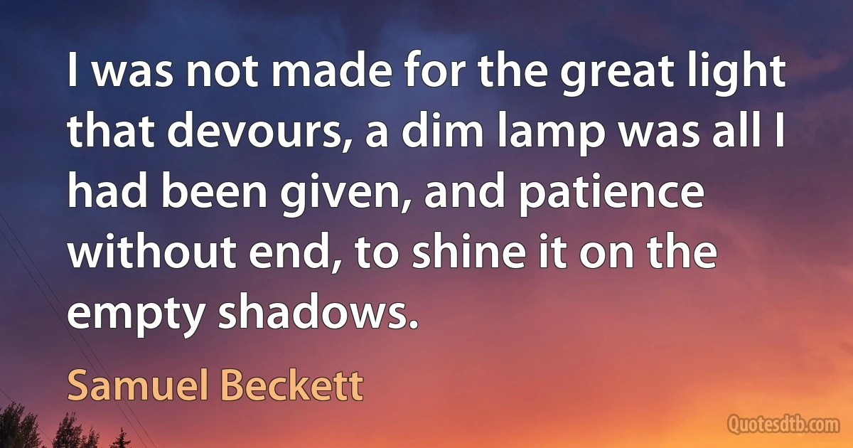 I was not made for the great light that devours, a dim lamp was all I had been given, and patience without end, to shine it on the empty shadows. (Samuel Beckett)