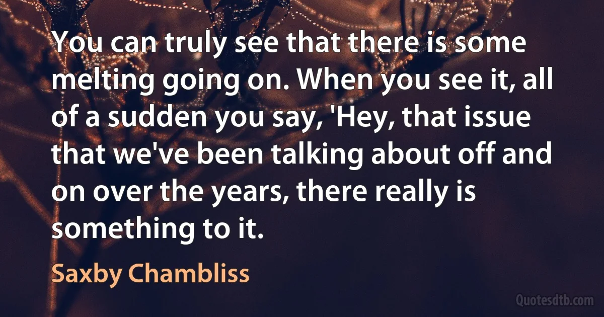 You can truly see that there is some melting going on. When you see it, all of a sudden you say, 'Hey, that issue that we've been talking about off and on over the years, there really is something to it. (Saxby Chambliss)