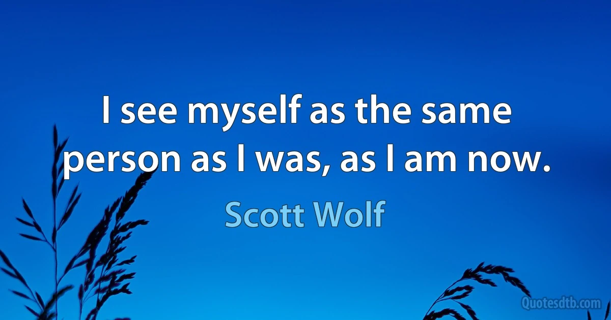 I see myself as the same person as I was, as I am now. (Scott Wolf)