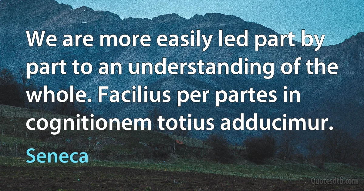 We are more easily led part by part to an understanding of the whole. Facilius per partes in cognitionem totius adducimur. (Seneca)