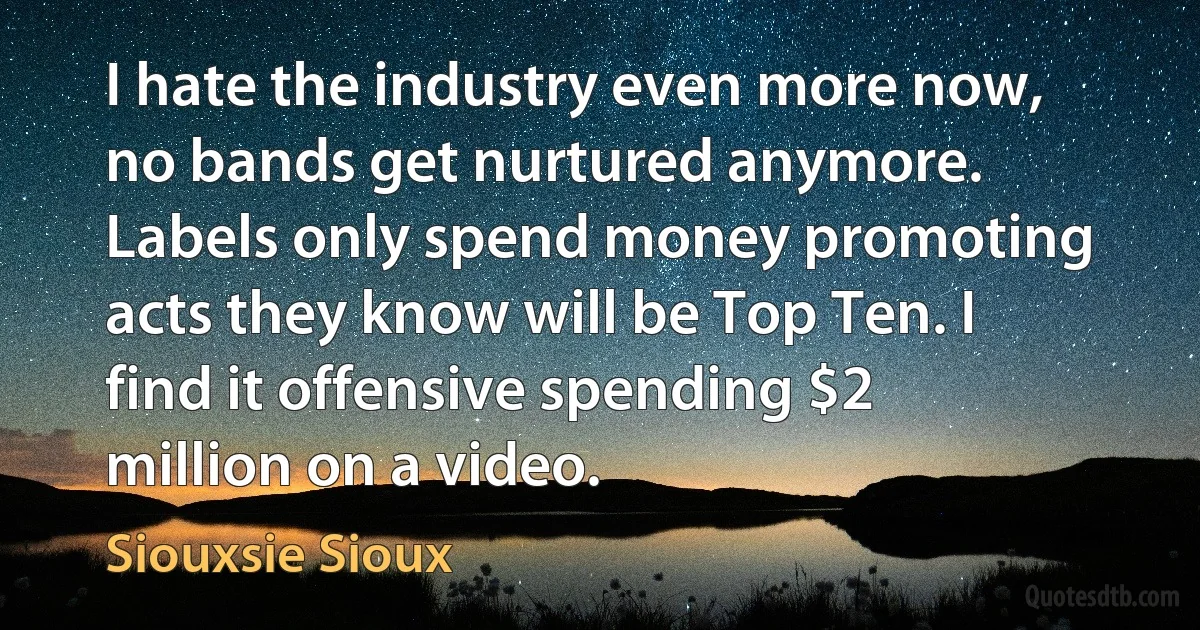 I hate the industry even more now, no bands get nurtured anymore. Labels only spend money promoting acts they know will be Top Ten. I find it offensive spending $2 million on a video. (Siouxsie Sioux)