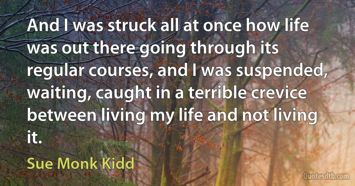 And I was struck all at once how life was out there going through its regular courses, and I was suspended, waiting, caught in a terrible crevice between living my life and not living it. (Sue Monk Kidd)