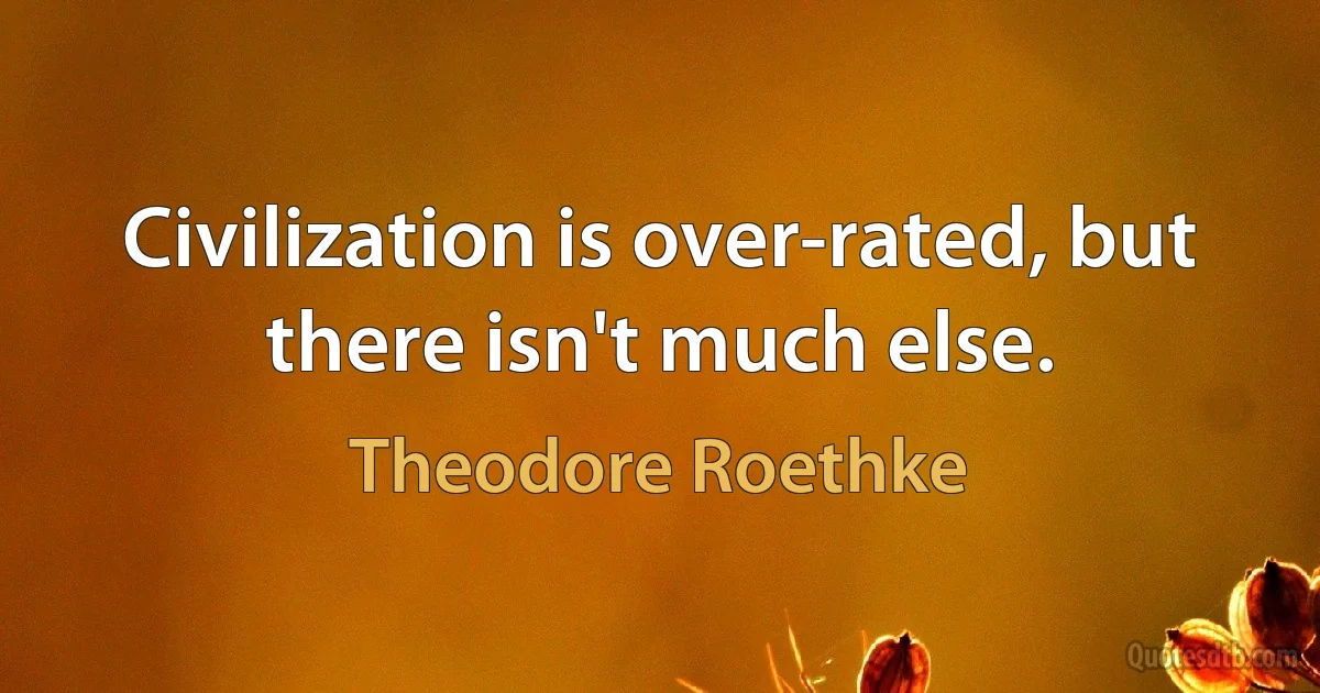 Civilization is over-rated, but there isn't much else. (Theodore Roethke)