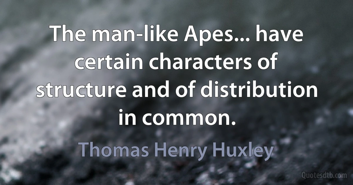 The man-like Apes... have certain characters of structure and of distribution in common. (Thomas Henry Huxley)