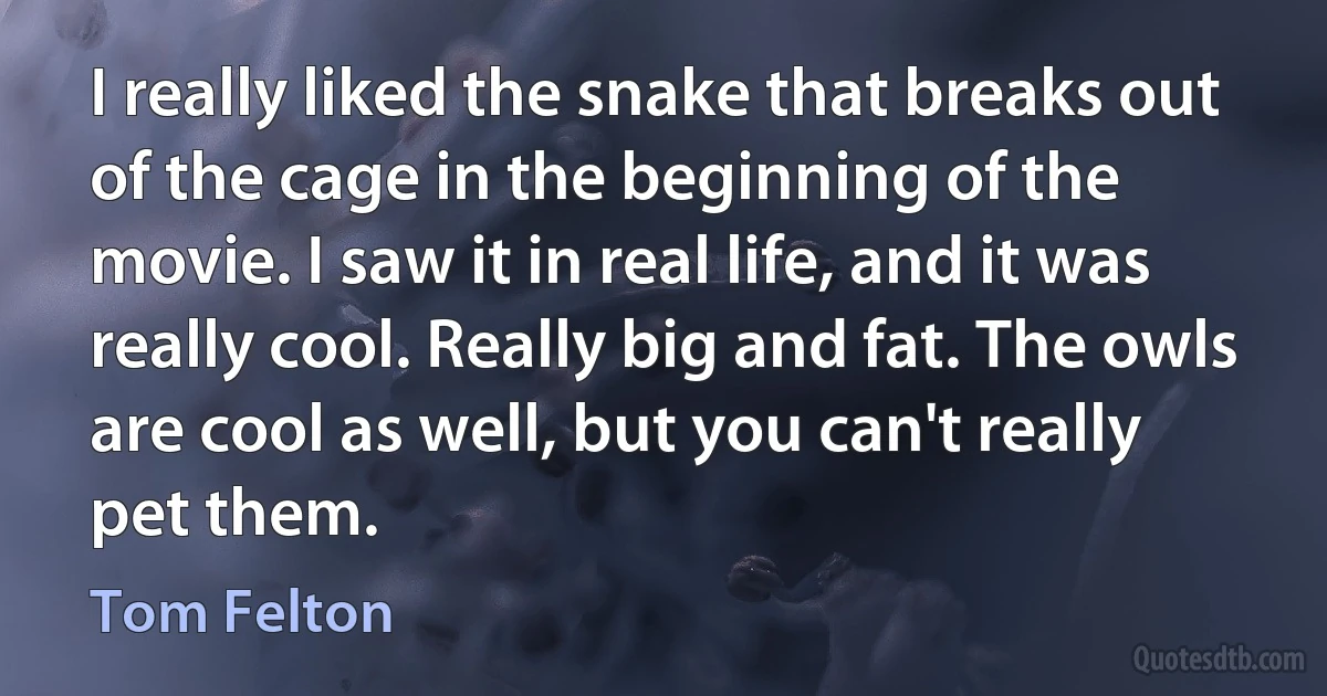 I really liked the snake that breaks out of the cage in the beginning of the movie. I saw it in real life, and it was really cool. Really big and fat. The owls are cool as well, but you can't really pet them. (Tom Felton)