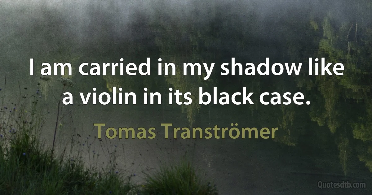 I am carried in my shadow like a violin in its black case. (Tomas Tranströmer)