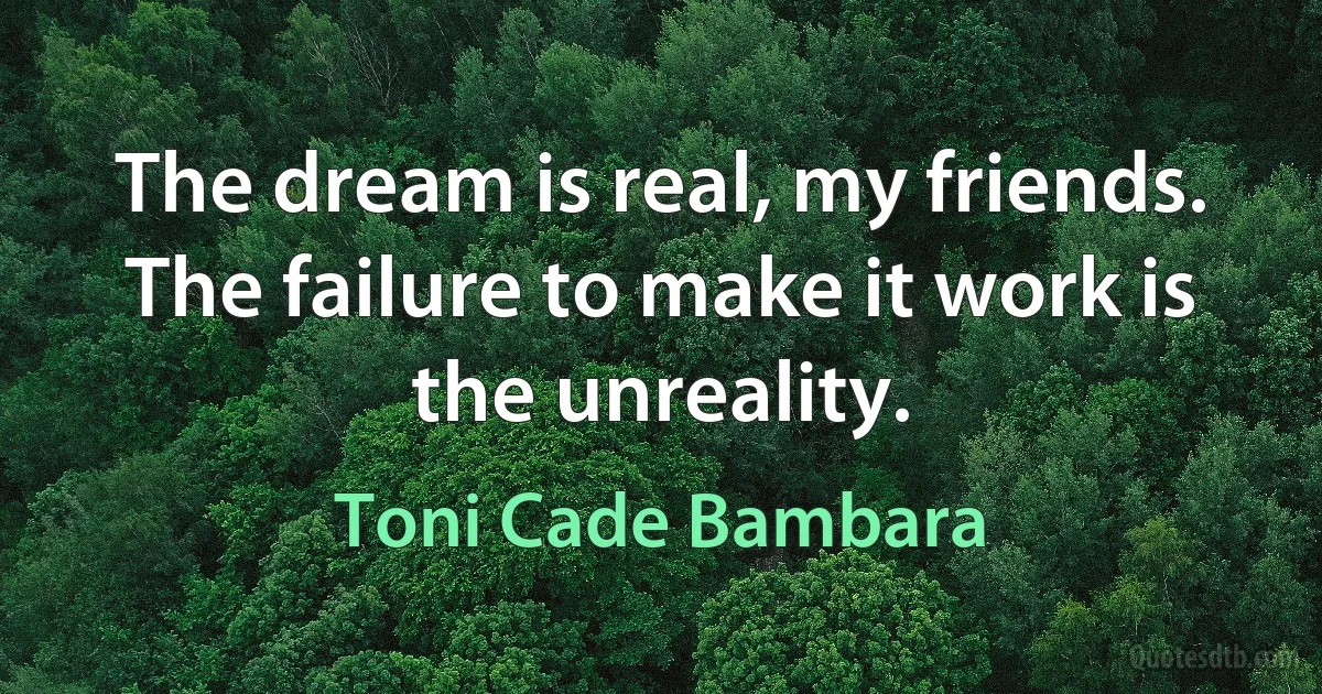 The dream is real, my friends. The failure to make it work is the unreality. (Toni Cade Bambara)