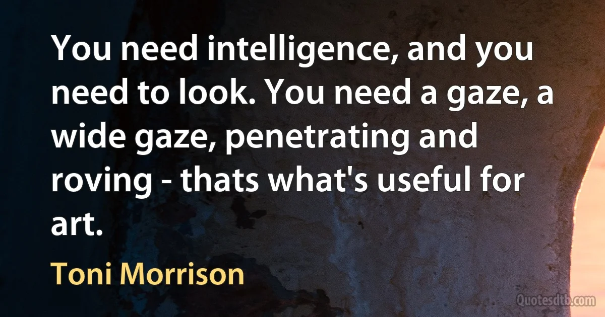 You need intelligence, and you need to look. You need a gaze, a wide gaze, penetrating and roving - thats what's useful for art. (Toni Morrison)