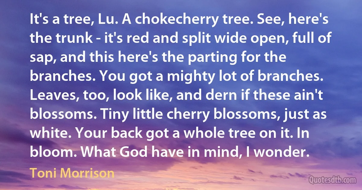 It's a tree, Lu. A chokecherry tree. See, here's the trunk - it's red and split wide open, full of sap, and this here's the parting for the branches. You got a mighty lot of branches. Leaves, too, look like, and dern if these ain't blossoms. Tiny little cherry blossoms, just as white. Your back got a whole tree on it. In bloom. What God have in mind, I wonder. (Toni Morrison)