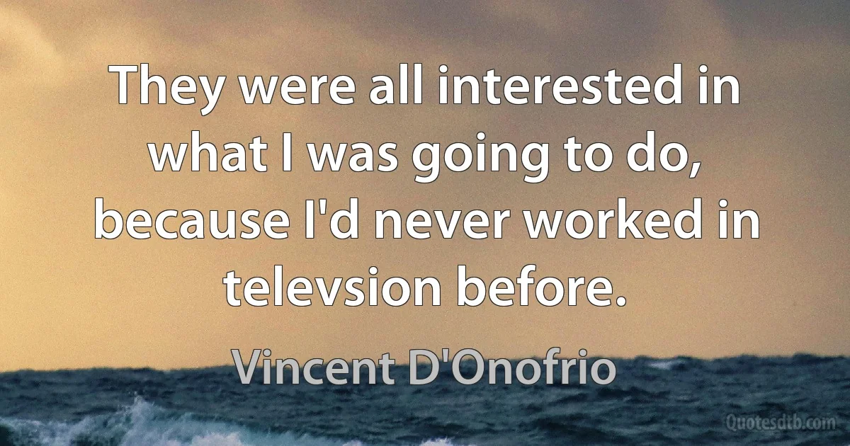 They were all interested in what I was going to do, because I'd never worked in televsion before. (Vincent D'Onofrio)