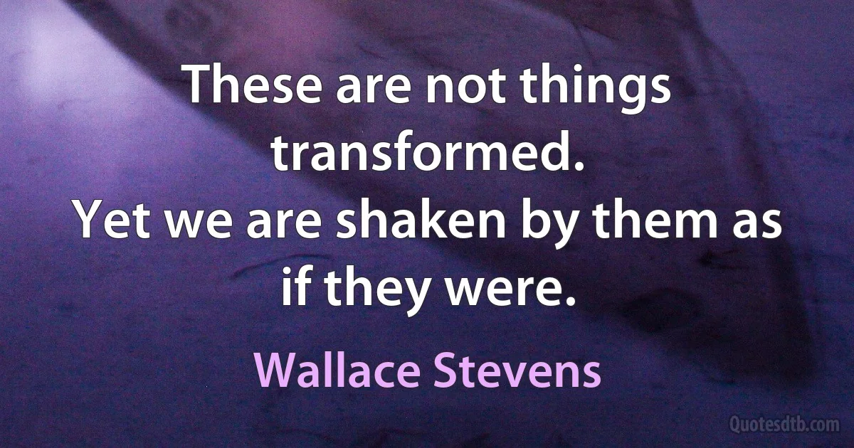 These are not things transformed.
Yet we are shaken by them as if they were. (Wallace Stevens)