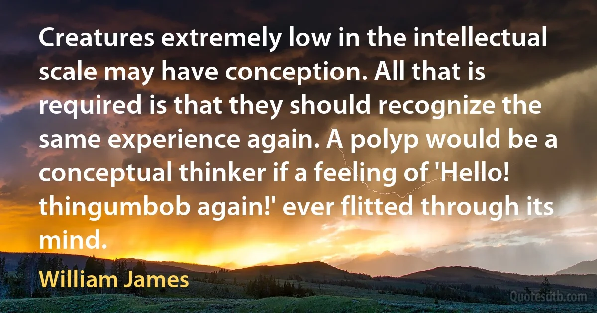 Creatures extremely low in the intellectual scale may have conception. All that is required is that they should recognize the same experience again. A polyp would be a conceptual thinker if a feeling of 'Hello! thingumbob again!' ever flitted through its mind. (William James)