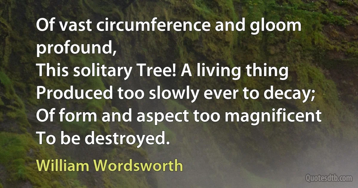 Of vast circumference and gloom profound,
This solitary Tree! A living thing
Produced too slowly ever to decay;
Of form and aspect too magnificent
To be destroyed. (William Wordsworth)