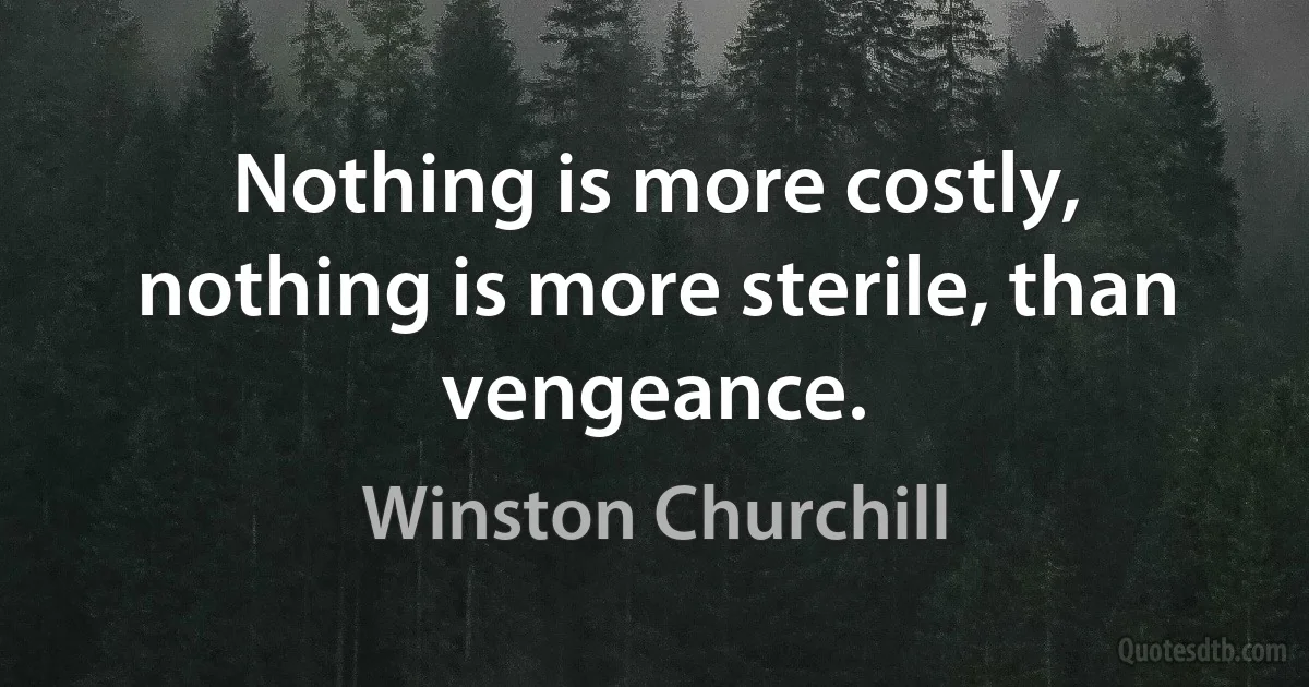 Nothing is more costly, nothing is more sterile, than vengeance. (Winston Churchill)