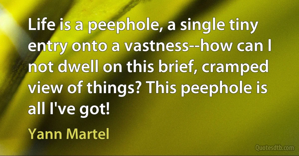 Life is a peephole, a single tiny entry onto a vastness--how can I not dwell on this brief, cramped view of things? This peephole is all I've got! (Yann Martel)