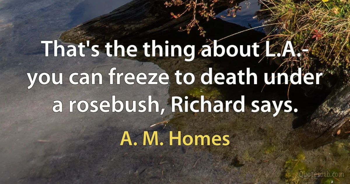 That's the thing about L.A.- you can freeze to death under a rosebush, Richard says. (A. M. Homes)