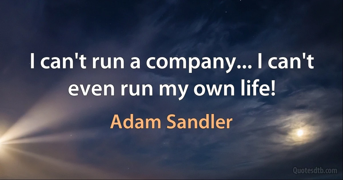 I can't run a company... I can't even run my own life! (Adam Sandler)