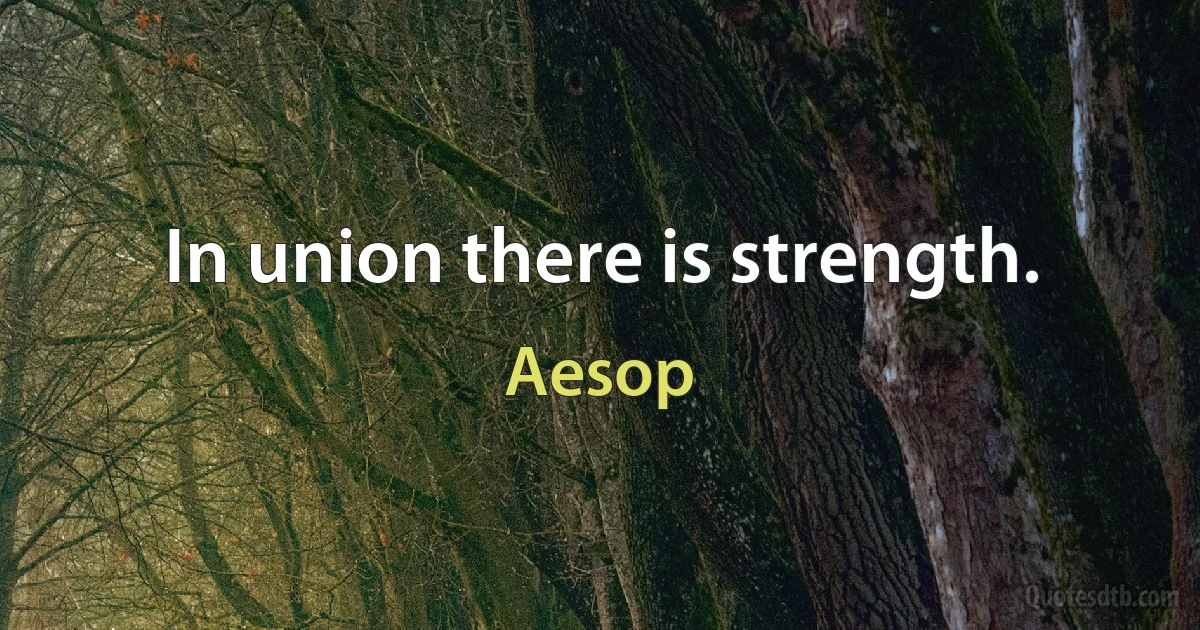 In union there is strength. (Aesop)