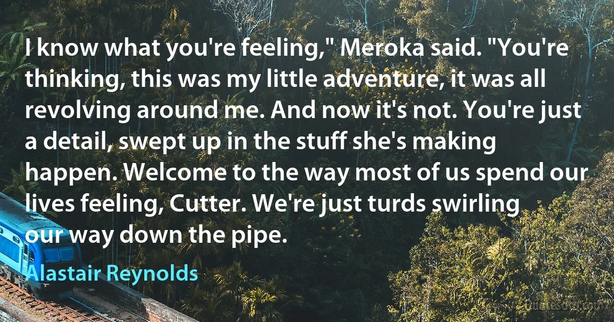 I know what you're feeling," Meroka said. "You're thinking, this was my little adventure, it was all revolving around me. And now it's not. You're just a detail, swept up in the stuff she's making happen. Welcome to the way most of us spend our lives feeling, Cutter. We're just turds swirling our way down the pipe. (Alastair Reynolds)