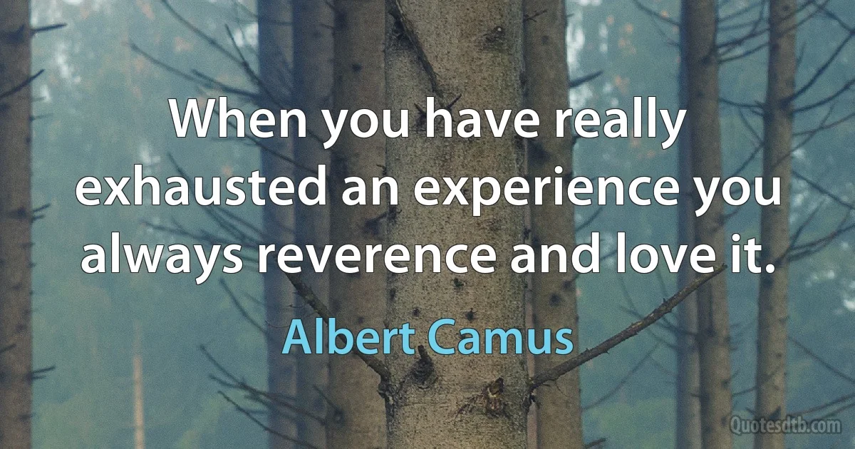 When you have really exhausted an experience you always reverence and love it. (Albert Camus)