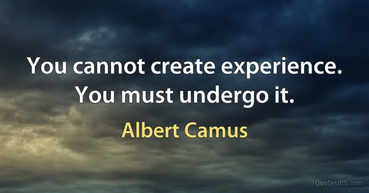 You cannot create experience. You must undergo it. (Albert Camus)