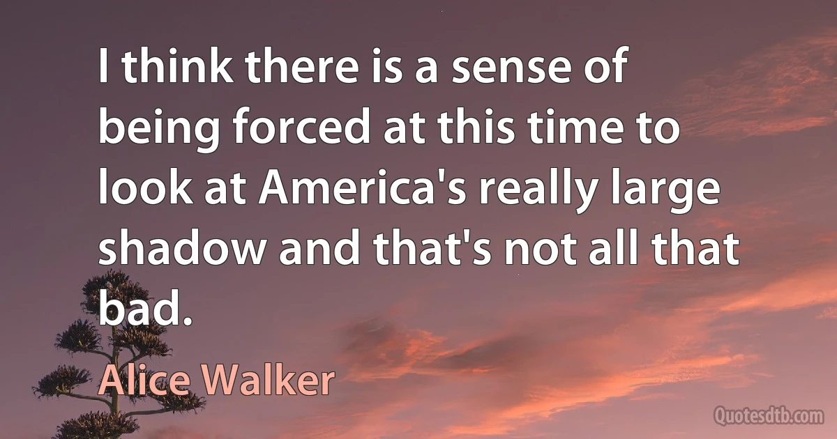 I think there is a sense of being forced at this time to look at America's really large shadow and that's not all that bad. (Alice Walker)