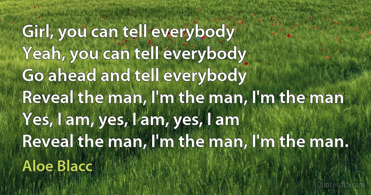 Girl, you can tell everybody
Yeah, you can tell everybody
Go ahead and tell everybody
Reveal the man, I'm the man, I'm the man
Yes, I am, yes, I am, yes, I am
Reveal the man, I'm the man, I'm the man. (Aloe Blacc)