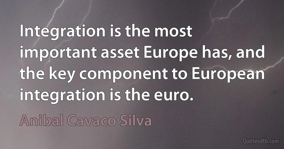 Integration is the most important asset Europe has, and the key component to European integration is the euro. (Anibal Cavaco Silva)