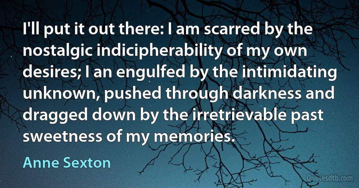 I'll put it out there: I am scarred by the nostalgic indicipherability of my own desires; I an engulfed by the intimidating unknown, pushed through darkness and dragged down by the irretrievable past sweetness of my memories. (Anne Sexton)