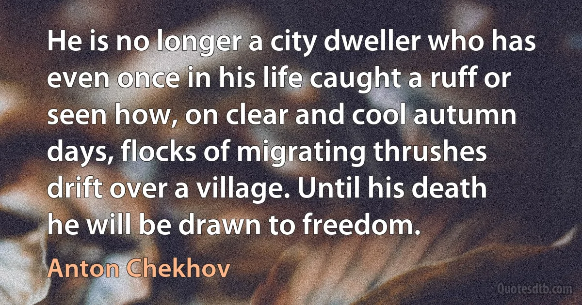 He is no longer a city dweller who has even once in his life caught a ruff or seen how, on clear and cool autumn days, flocks of migrating thrushes drift over a village. Until his death he will be drawn to freedom. (Anton Chekhov)